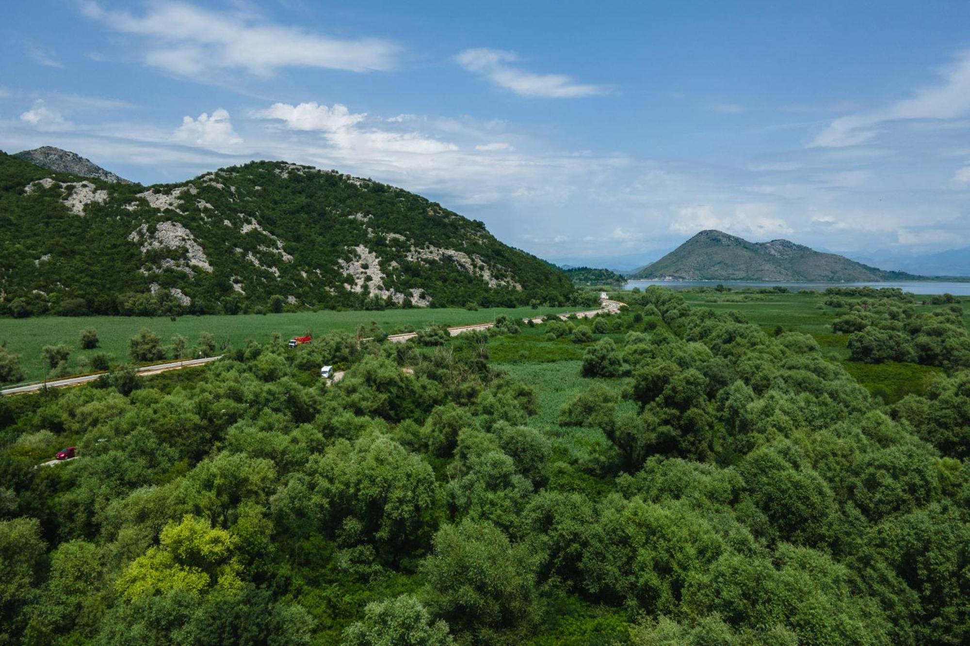 Green Hill Virpazar Zewnętrze zdjęcie